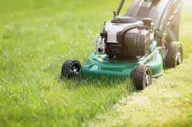 Lawn Care & Maintenance