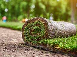 Landscaping & Installation